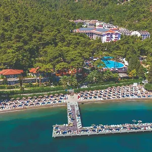 book here